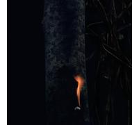 Bzdb - JUMP SHIP, SIT LEAN, BE STILL, STAND TALL [Vinilo]