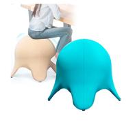 BZJPRFC Silla Ergonómica con Pelota De Ejercicio