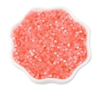 BZSQD 33000PCS 2.5mm Cuentas de Semilla de Vidrio de Jalea para Hacer Joyas Cuentas de Pony Cuentas de Arroz Mini Cuentas de Semilla para Pulsera DIY Craft Perlas de Semilla