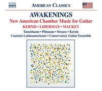 ç›®è¦šã‚ - ç¾代ã‚¢ãƒ¡ãƒªã‚«ã®ã‚®ã‚¿ãƒ¼ã‚’å«ã‚€室å†…楽æ›²é›†