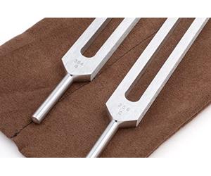 C&G Tuning Forks - Body Tuners with Pouch by Omnivos Therapeutics