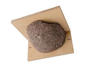 C J Wildbird Foods Limited C J - Nido artificial para golondrinas (Talla Única) (Beige)