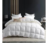 C&W Edredón de plumón de Ganso Blanco, tamaño Queen, Relleno de edredón de plumón Pesado para Invierno, Potencia de Relleno 750, Peso de Relleno de 55 onzas, Color Blanco sólido