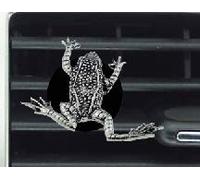 C11 Salto Rana Ambientador Clip Clip Decoración Coche Van Truck Mini Bus