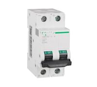 C65N-DC 250V 1P 2P A9 interruptor de aire de riel guía solar doméstico DC disyuntor 32A 40A 50A 63A(2P,20A)