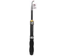 Ca?a de Pescar, Mini Ca?a Corta Port¨¢til para Pesca en Hielo y Mar 100 cm con Accesorios Incluidos(28049-100)