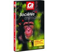 ça m'intéresse, vol 9 : société animales [DVD]