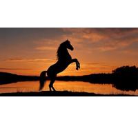 Caballo Diamond Painting Adultos, 5D Cuadrados Pintura Diamante Lago al Atardecer Square Drill Cuadro Diamantes Kit Completo 90x180cm, DIY Pintar con Diamantes para Decoración de Hogar (SQ410)