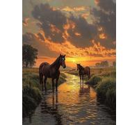 Caballo Diamond Painting Kits Adultos, Río 5D Pintura de Diamante DIY Diamond Painting Kit Completo, Punto de Cruz Bordado Diamante Manualidades para Decoración De Pared Del Hogar 45x60cm, Model 127