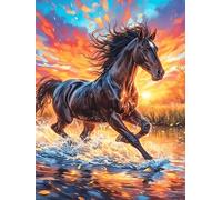 Caballo Negro Corriendo por Agua Ardiente Rompecabezas 500 Piezas Cartón Resistente para Toda La Familia Planta de Vida Silvestre Desconectar Estrés Ocio Creativo En Casa Mejor Valorado