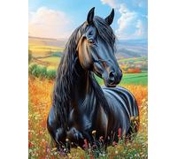 Caballo negro en un campo dorado Puzzle 500 Piezas Cartón Resistente Para Parejas Dibujo Animado de Paisajes de Cuento de Hadas Noches De Cita Actividad Antiestrés Tiempo Libre Pack Completo Regalo An