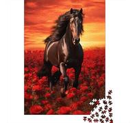 Caballo Negro Puzzle de 1000 Piezas Papel para Adultos Campo de Amapolas Rojas Escena al Atardecer Relajación Hogar Regalo Familiar 52x38cm/1000pcs