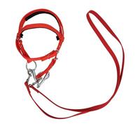 Caballo portátil y riñones, ajustable de nailon Bridle, Safety Animal Bridle, Compact Metal Hardware, perfecto para montar estable, rancho y sendero