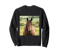 Caballo Primer Plano Retrato Fuerte Animal Campo Escena Sudadera