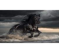 Caballo Puzzle de 1000 Piezas Rompecabezas para Adultos Rompecabezas 1000 Piezas para Adultos para Amantes o Amigos Rompecabezas imposable 75x50cm/1000pcs