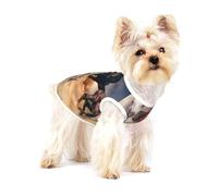Caballo Salvaje Corriendo contra una tormenta de Arena,Camiseta de algodón sin Mangas para Mascotas, Chaleco Transpirable, Suave y elástico para Cachorros,S