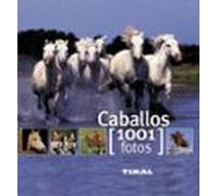 Caballos (1001 Fotos)