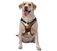 Caballos Cachorros Dos Carreras,Arnés para Mascotas, arnés Reflectante Ajustable para Perros,XL