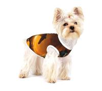 Caballos Negros con Nubes Rojas Brillantes Impresas,Camiseta de algodón sin Mangas para Mascotas, Chaleco Transpirable, Suave y elástico para Cachorros,L