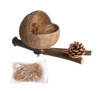 Cabaña de Coco para pájaros: de Concha Natural con Rama de Perca de 9