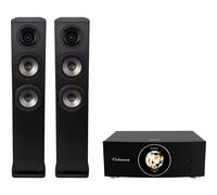 Cabasse Pack Amp 240S + Jersey MC170 negro ébano - Altavoz de torre