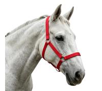 Cabestro Ajustable Para Caballos Equipo Ecuestre Ajustable De Y De La