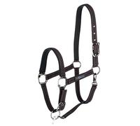 Cabestro de caballo para GoleyGo System, negro/fucsia, completo