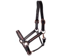 Cabestro de cuero para caballos Harry's Horse Metallic Full