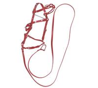 Cabestro de entrenamiento de poliéster rígido | 4 nudos de 0,6 cm | Correa a juego de 3,5 m | Juego completo para entrenamiento seguro, resistente, práctico manejo animal, uso diario