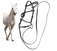 Cabestro de entrenamiento de poliéster rígido | 4 nudos de 0,6 cm | Correa a juego de 3,5 m | Juego completo para entrenamiento seguro, resistente, práctico manejo animal, uso diario