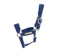 Cabestro de terciopelo Kentucky Cob