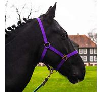 Cabestro para caballo de sangre caliente, sangre fría, cabestro de establo, cabestro de pasto, 2 posiciones ajustables en la correa de la barbilla y el cuello, seguro y resistente a desgarros