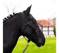 Cabestro para caballo Warmblut, Pura sangre, Sangre fría - Cabestro para establo, para pasto, 2 veces ajustable en tiras de barbilla y pieza de nuca, seguro y resistente a roturas (Negro, Pura sangre