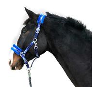 Cabestro para caballos, cabestro de piel de color azul, en los tamaños xfull cabestro, pony, mazorca de sangre caliente (azul, pura sangre + punto)
