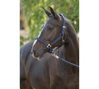 Cabestro para caballos Covalliero Doria Pony
