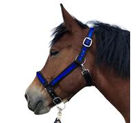 Cabestro para caballos de sangre fría, cabestro xxfull, cabestro ajustable con 2 compartimentos en la correa de la barbilla y la nuca (negro real, XXFull (sangre fría)