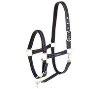 Cabestro para caballos Goleygo Cob, color marrón y azul claro