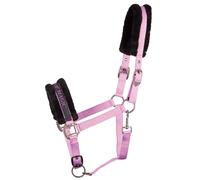 Cabestro para caballos Harry's Horse Lyrics Quotes Pony