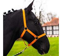 Cabestro para caballos mediasangre, purasangre, sangre fría - Cabestro para establo, para pasto, con ajuste doble en la correa de mentón y de nuca, seguro y resistente a roturas (Naranja, Pony)