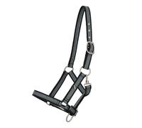Cabestro para caballos QHP Full
