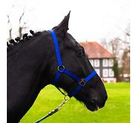 Cabestro para potro Mini Shetty Cabestro para caballo de madera - Cabestro de potro 2 posiciones ajustable en mentón y cuello (azul real, potro)