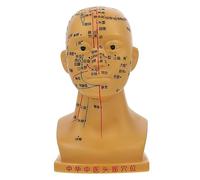 Cabeza de Acupuntura Anatómica 20cm Pvc para Enseñanza