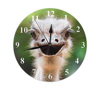 Cabeza de avestruz Primer plano Reloj de pared Pájaro africano sin vuelo Cara curiosa Vida silvestre peluda Relojes redondos Decorativos de pared Silencioso Sin tictac 9.8 pulgadas 25 cm PVC Rústico