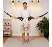 Cabeza de calavera con cuernos largos de 70 pulgadas y decoración de pared con cuernos de vaca y toro