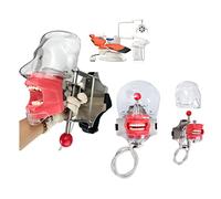 Cabeza De Maniquí De Simulación Dental 1:1, Alta Emulación, Modelo De Dientes Ajustables 360 Grados, Cabeza De Maniquí De Entrenamiento Con Soporte De Banco Fijado A La Silla Para Educación Dental.