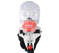 Cabeza de maniquí de simulador fija en la silla, molde de cabeza de enseñanza, modelo de dientes Typodont con 28 dientes extraíbles para práctica de simulaciones