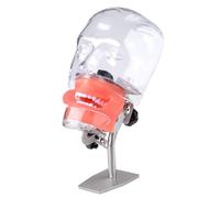 Cabeza de maniquí simulador de mesa, modelo de dientes Typodont, maniquí de entrenamiento para escuelas, educación, demostración práctica