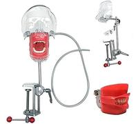 Cabeza fantasma de maniquí dental, Enseñanza Modelo de Cabeza de Boca Fija en Silla Modelo de Diente Typodont Reemplazable Ajuste de 360 Grados para Dentistas y Asistentes Dentales e Higienistas