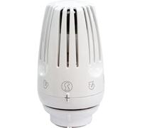 Cabeza termostática con bulbo líquido R469 - Giacomini