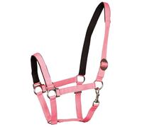 Cabezada acolchada para caballos Harry's Horse Pony